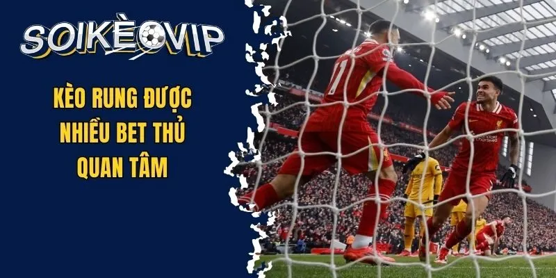 Cách Soi Kèo Rung - Bí Quyết Để Thắng Kèo Thường Xuyên 1 Kèo rung được nhiều bet thủ quan tâm