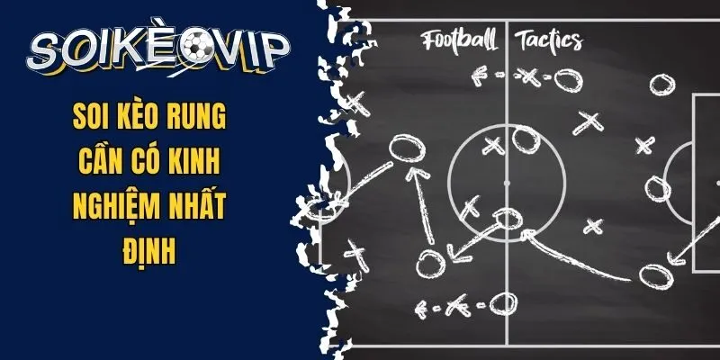 Cách Soi Kèo Rung - Bí Quyết Để Thắng Kèo Thường Xuyên 3 Soi kèo rung cần có kinh nghiệm nhất định